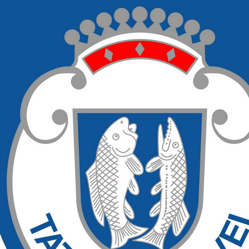 Zpráva o činnosti tenisového oddílu za rok 2016